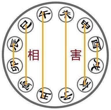 八字六害|八字：地支六害解读